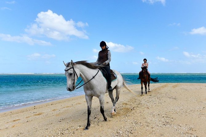 Mauritius Horse Riding at Riambel - Getting ready for your horse