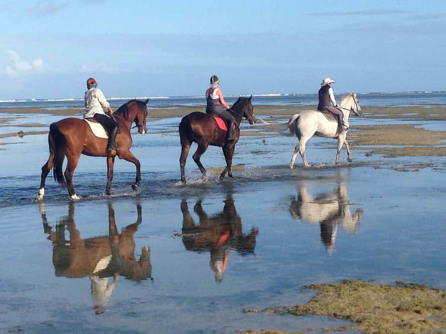Mauritius: Horse riding on the deserted beach of Riambel - Sunset, Waves, and the Ocean Ride