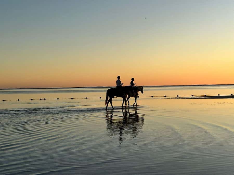 Mauritius: Horseback riding on the beach - Key points to know before booking