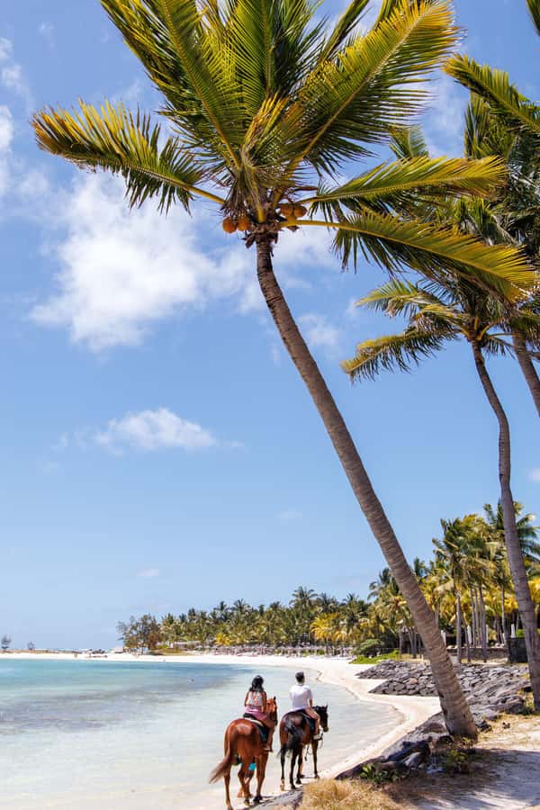Mauritius: Horseback riding on the beach - Who will enjoy this Mauritius horseback ride?