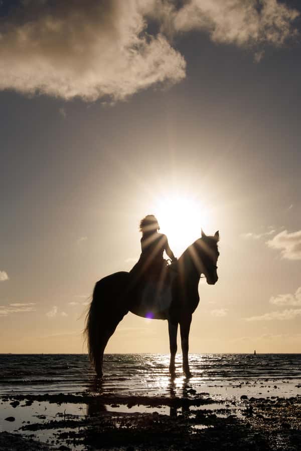Mauritius: Horseback riding on the beach - Booking advice for a smoother hour