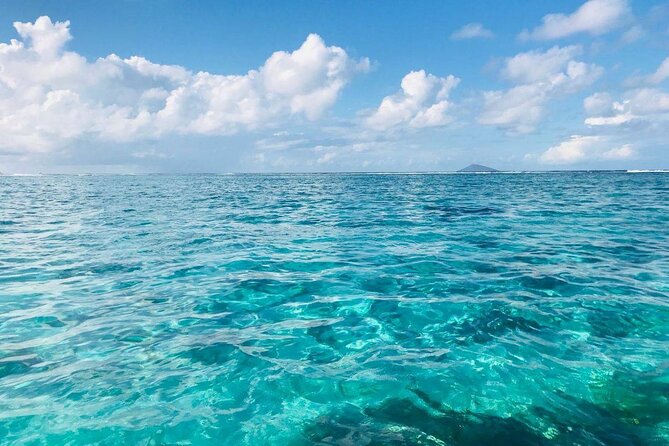 Mauritius: Ile Aux Cerfs Catamaran Tour with Lunch and Drinks - Key points to know before you book