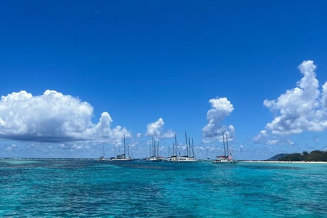 Mauritius: Ile Aux Cerfs Catamaran Tour with Lunch and Drinks - What makes the crew part of the value