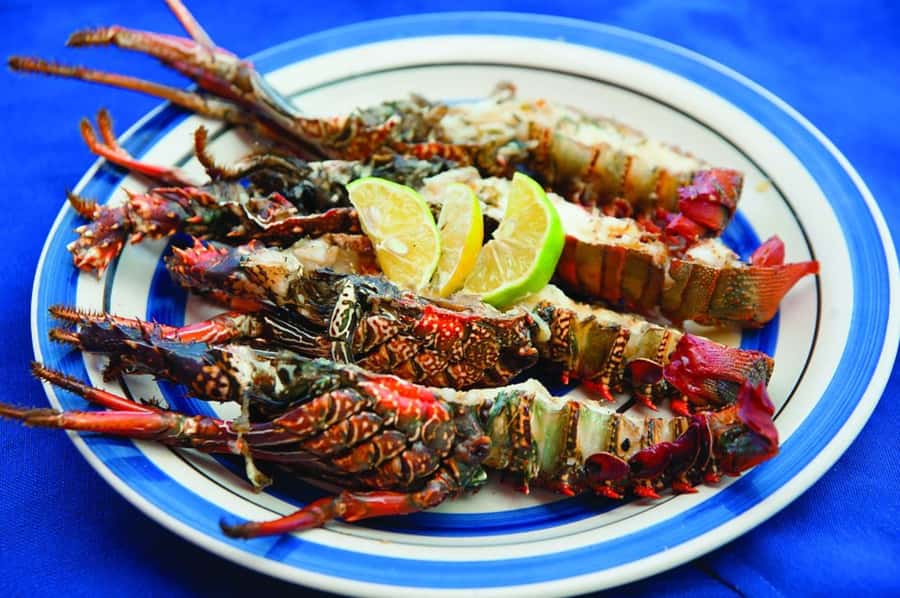 Mauritius: Ile Aux Cerfs Catamaran Trip w/ Lunch & Transfer - Key points to know before you book