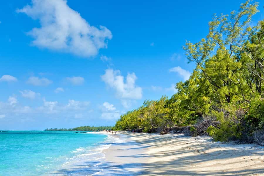 Mauritius: Ile Aux Cerfs Catamaran Trip w/ Lunch & Transfer - Boarding a 42-foot catamaran