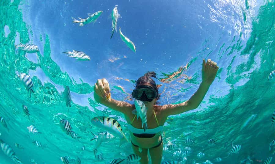 Mauritius: Ile Aux Cerfs Catamaran Trip w/ Lunch & Transfer - Ile aux Cerfs, Mauritius’s classic beach stop