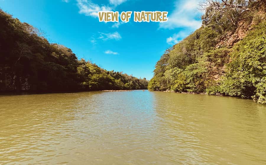 Mauritius: Ile aux Cerfs Speedboat Tour with Lunch & Drinks - Is $65 good value?