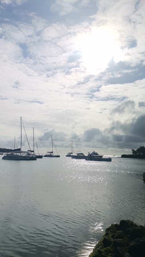 Mauritius: Ile aux cerfs, waterfalls and bbq Boat Day - Starting at Trou D’eau Douce at 9:30