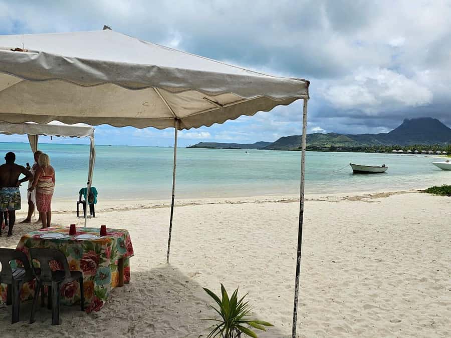 Mauritius: Ile aux cerfs, waterfalls and bbq Boat Day - The GRSE waterfall and monkey visit