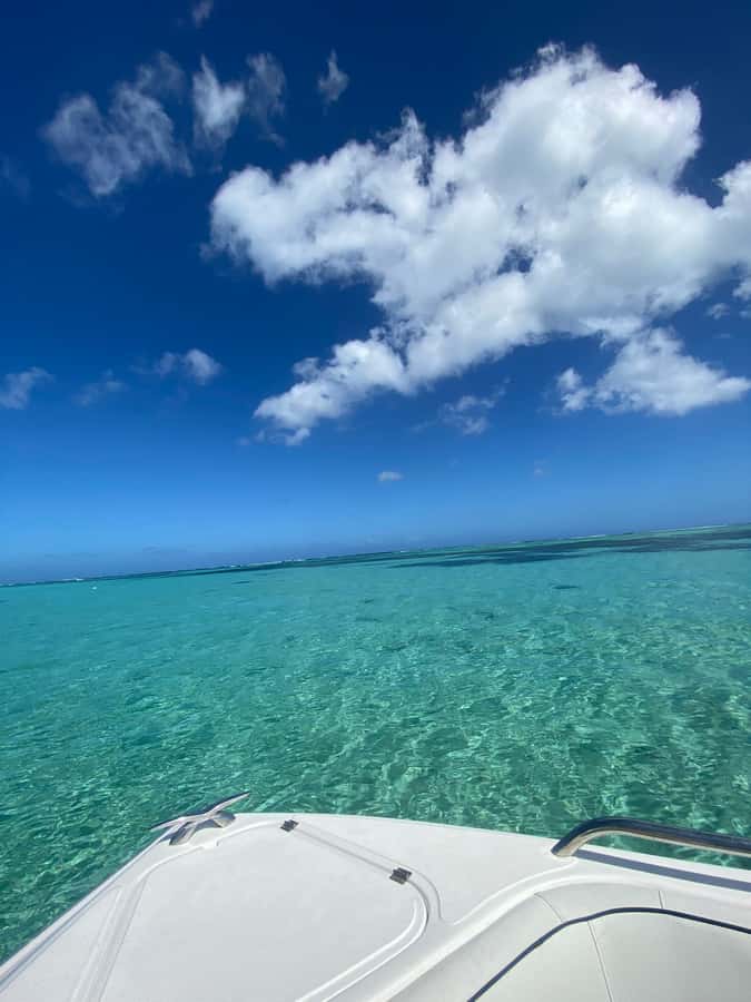 Mauritius Le Morne: Eco-Friendly Dolphin Watching Tour - Searching for spinner dolphins in open water
