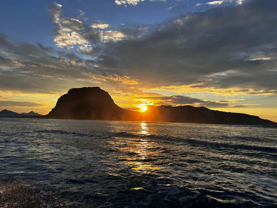Mauritius Le Morne: Eco-Friendly Dolphin Watching Tour - What the dolphin swim is really like