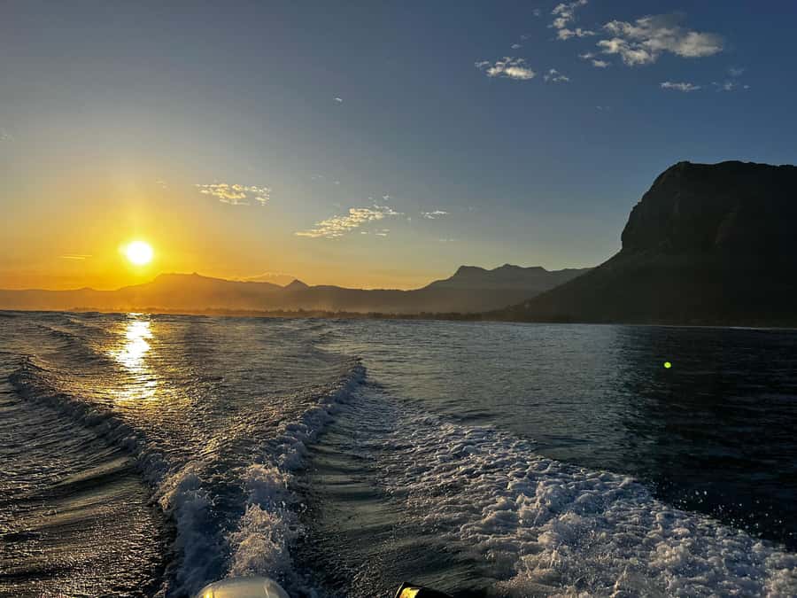 Mauritius Le Morne: Eco-Friendly Dolphin Watching Tour - Snorkeling in the lagoon after the dolphins