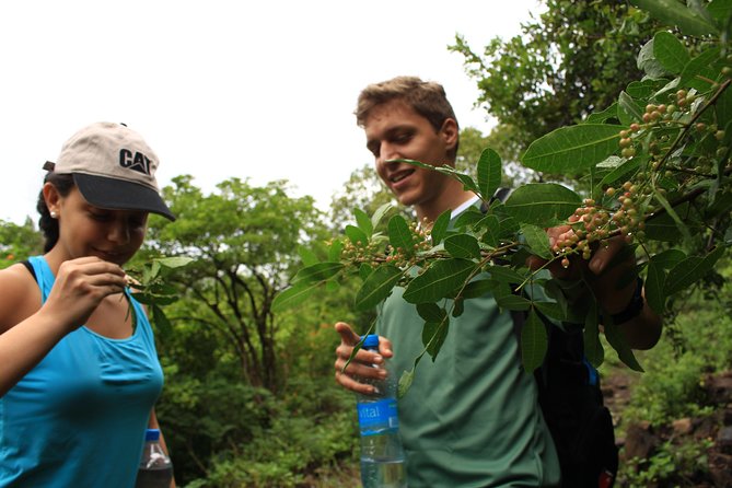 Mauritius Le Morne Hiking including transfer - Summit views over the southern coast