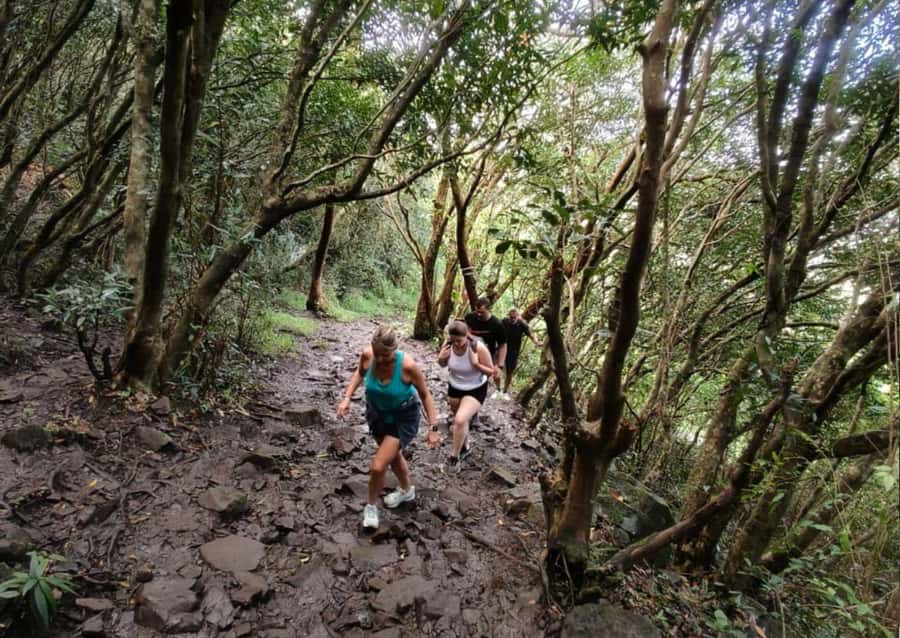 Mauritius: Le Pouce Guided Hiking Experience with a local - Key points at a glance