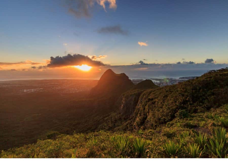 Mauritius: Le Pouce Guided Hiking Experience with a local - The final climb to Le Pouce’s 812-meter summit