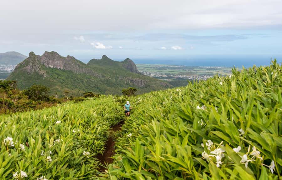 Mauritius: Le Pouce Guided Hiking Experience with a local - Who should book this guided hike