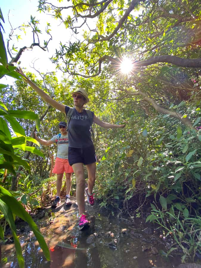 Mauritius Natirel : 7 cascades valley waterfall discovery - Tee’s careful pace and nature explanations