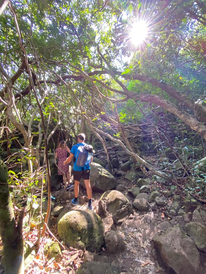 Mauritius Natirel : 7 cascades valley waterfall discovery - Breakfast, fruit tasting, and Mauritian Creole food
