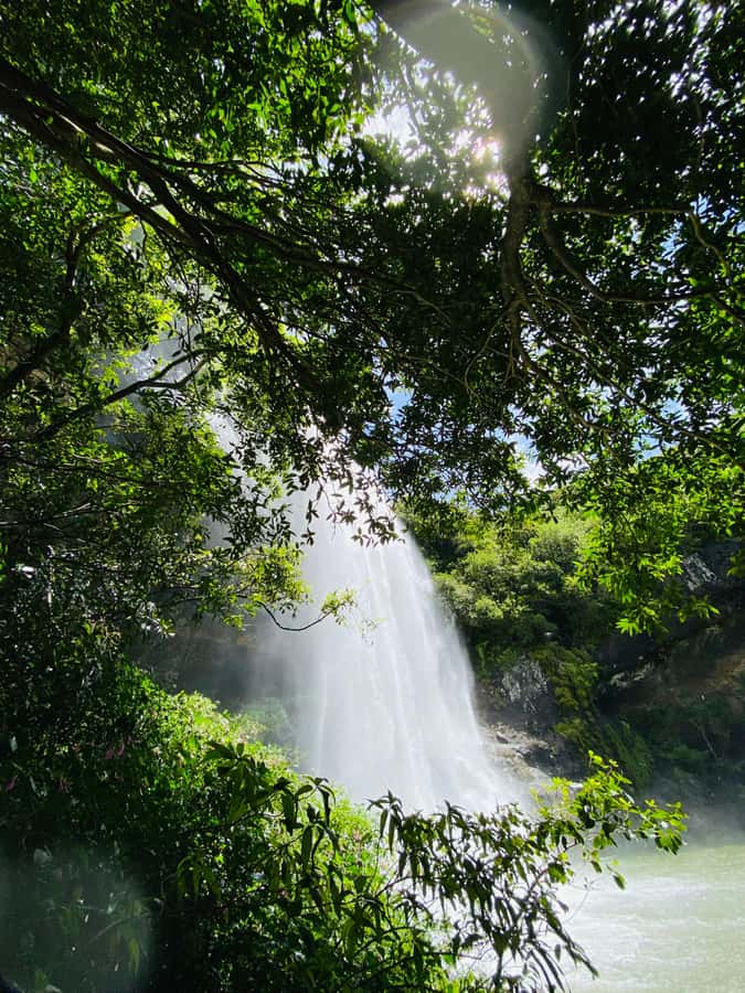 Mauritius Natirel : 7 cascades valley waterfall discovery - What $44 really buys you