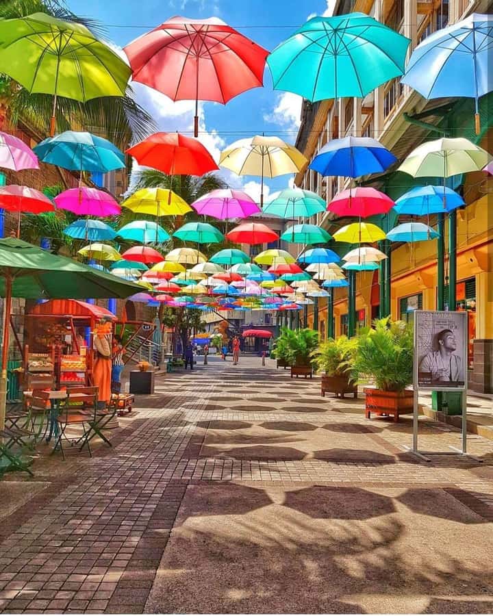Mauritius North: Private Paradise Tour with Gardens, Markets - Key points to know before booking