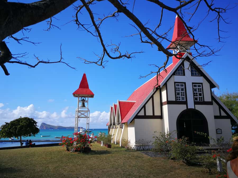 Mauritius North: Private Paradise Tour with Gardens, Markets - Pamplemousses Botanical Garden and its giant water lilies