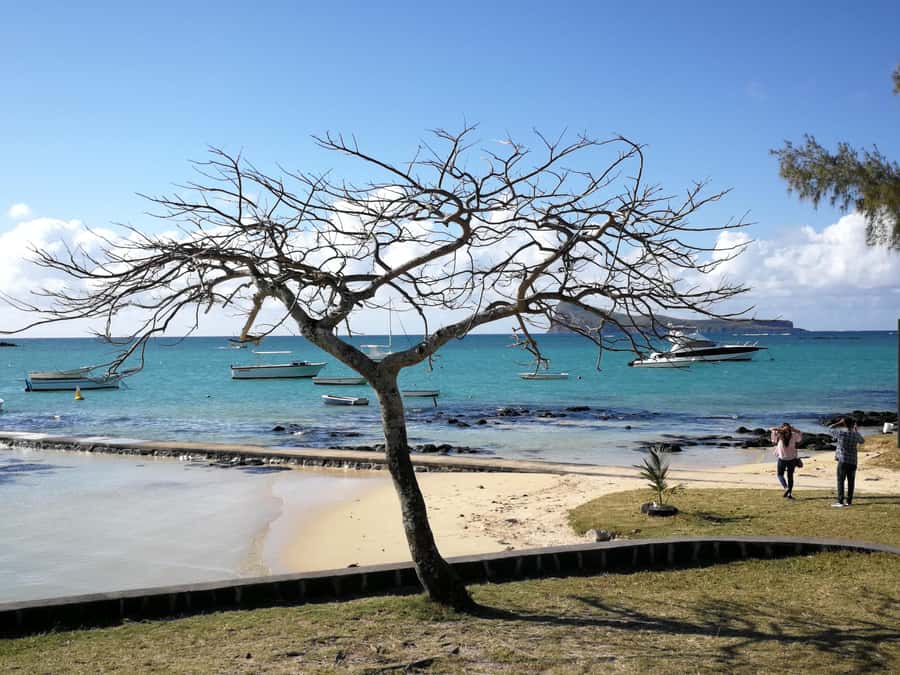 Mauritius North: Private Paradise Tour with Gardens, Markets - Lunch and the value of local recommendations