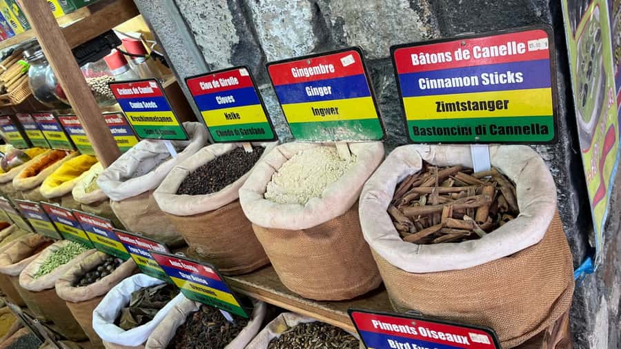 Mauritius: Northern Tour w/Port Louis Market, Temple & Beach - Port Louis market: start with everyday Mauritius