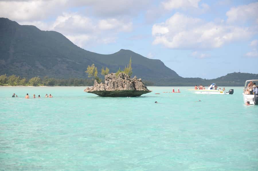 Mauritius: Ocean Swim with Dolphins - Key points to know before you book