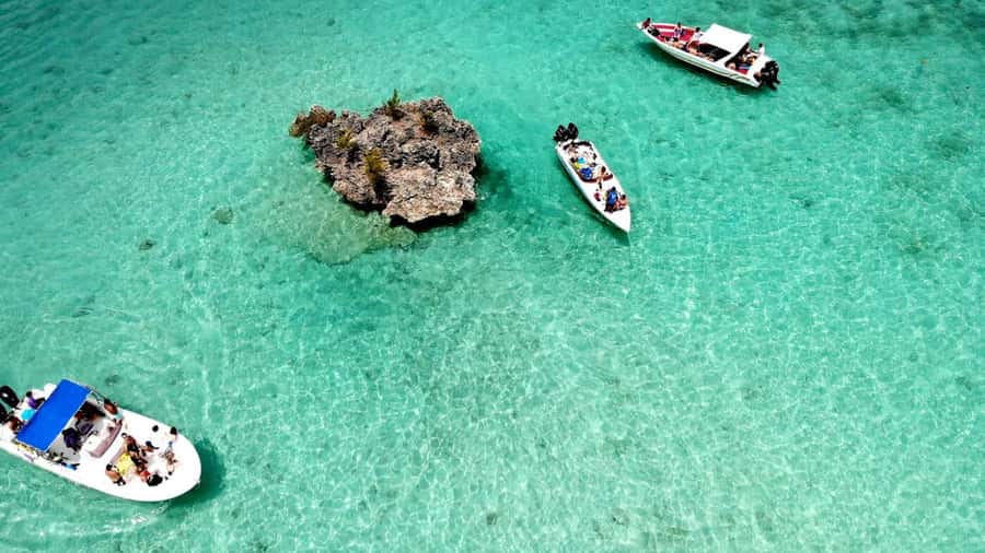 Mauritius: Ocean Swim with Dolphins - The Aquarium and 30 minutes of snorkeling