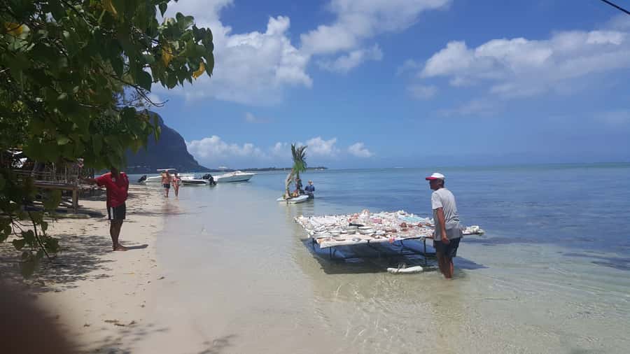 Mauritius: Ocean Swim with Dolphins - Île aux Bénitiers for BBQ, drinks, and beach time