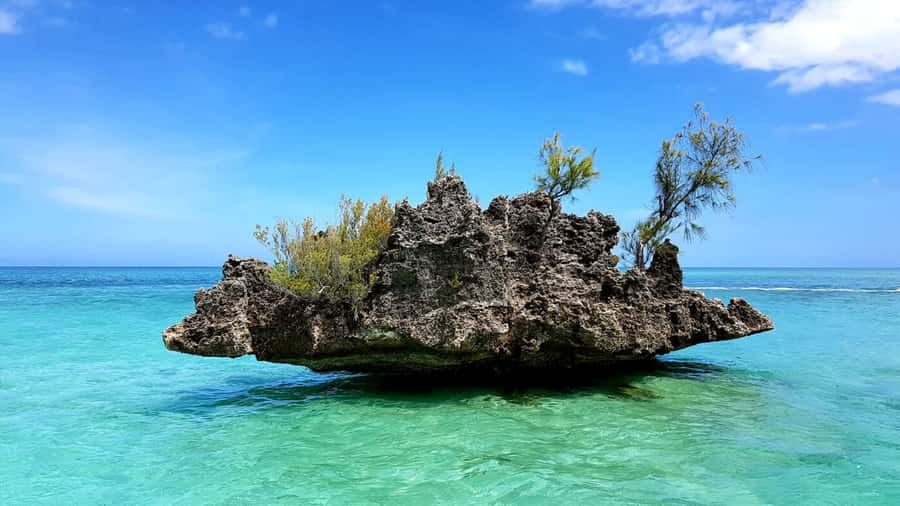 Mauritius: Ocean Swim with Dolphins - The 30-minute speedboat ride to Black River