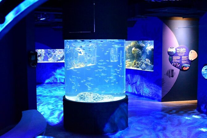 Mauritius Odysseo Oceanarium in Port Louis - The Main Aquarium and Its Two Sharks