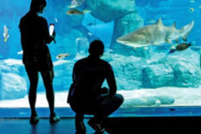 Mauritius Odysseo Oceanarium in Port Louis - Price, Food, and Overall Value