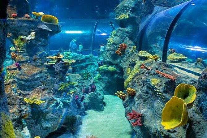 Mauritius Odysseo Oceanarium in Port Louis - Getting There and Choosing Transport