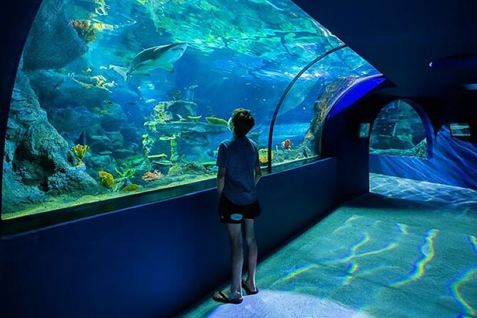 Mauritius Odysseo Oceanarium in Port Louis - The Underwater Tunnel and Smaller Tanks