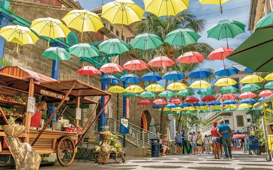 Mauritius: Port Louis and Northern Highlights Full-Day Trip - Key points to know before booking
