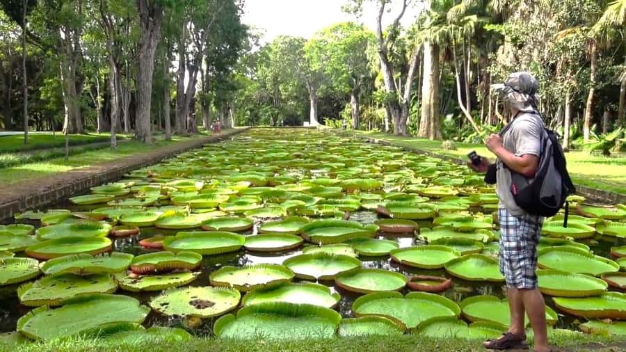 Mauritius: Port Louis and Northern Highlights Full-Day Trip - Why this eight-hour tour works well