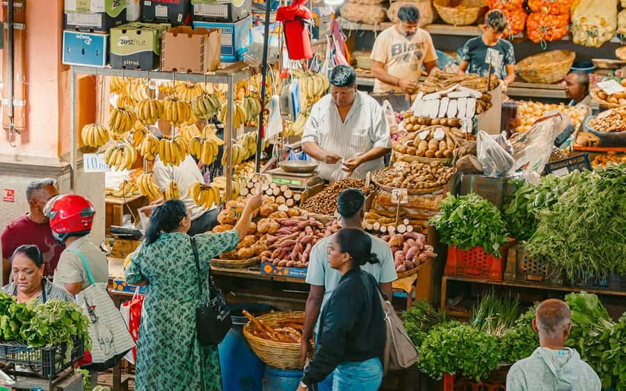 Mauritius: Port Louis and Northern Highlights Full-Day Trip - Fort Adelaide: a short stop with a big view
