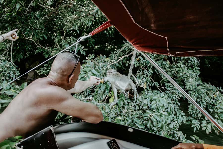 Mauritius: Private 5 Island Tour with Ile aux Cerfs - Speedboat travel, dolphins, and the pace of the route