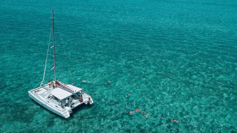 Mauritius: Private Catamaran Tour to île aux Cerfs - The barbecue, drinks, and local atmosphere