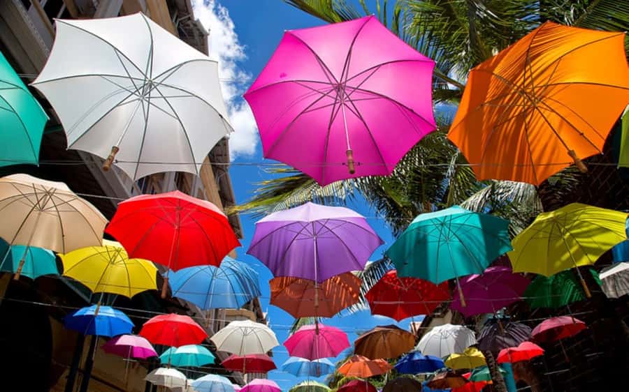 Mauritius: Private Full-Day Iconic Instagram Spots - Is $135 per person good value?
