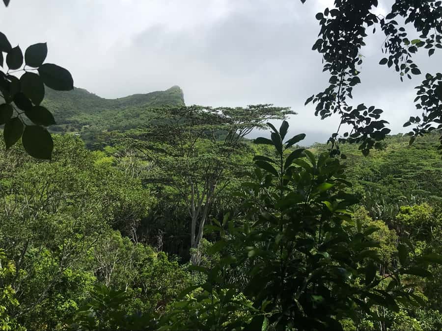 Mauritius: Private Full-Day Iconic Instagram Spots - Lunch, drinks, and what to carry