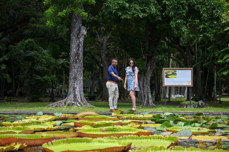 Mauritius: Private Full-Day North Mauritius Tour - Key points to know before booking