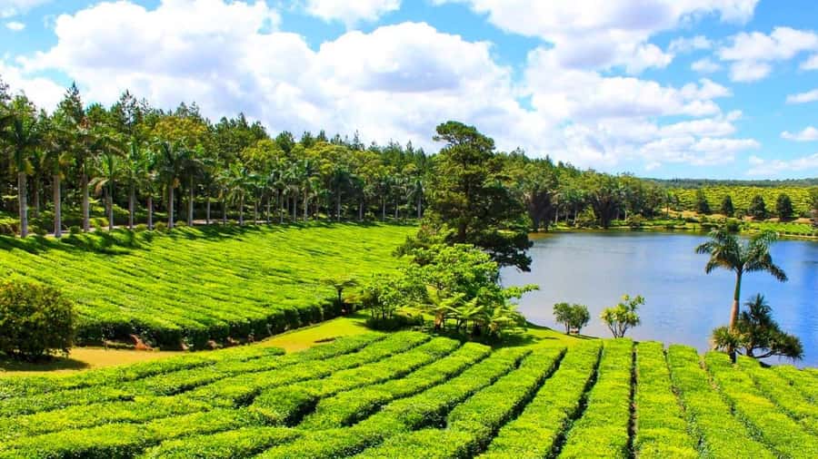 Mauritius: Private Full-Day South Mauritius Tour - Grand Bassin and Ganga Talao: a sacred crater lake