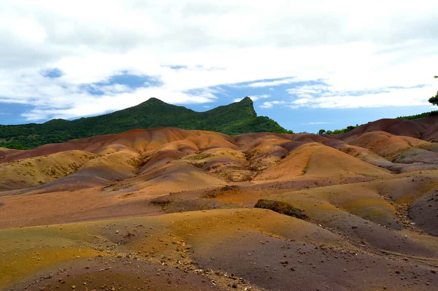 Mauritius: Private Full Day Tour with Entry Tickets & Lunch - Mare aux Vacoas and the cool Plaine Champagne forest