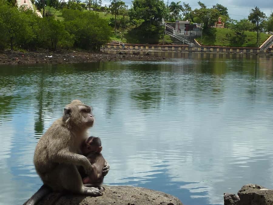 Mauritius: Private Guided South Tour with Pickup - Grand Bassin and the Spiritual Heart of the Route