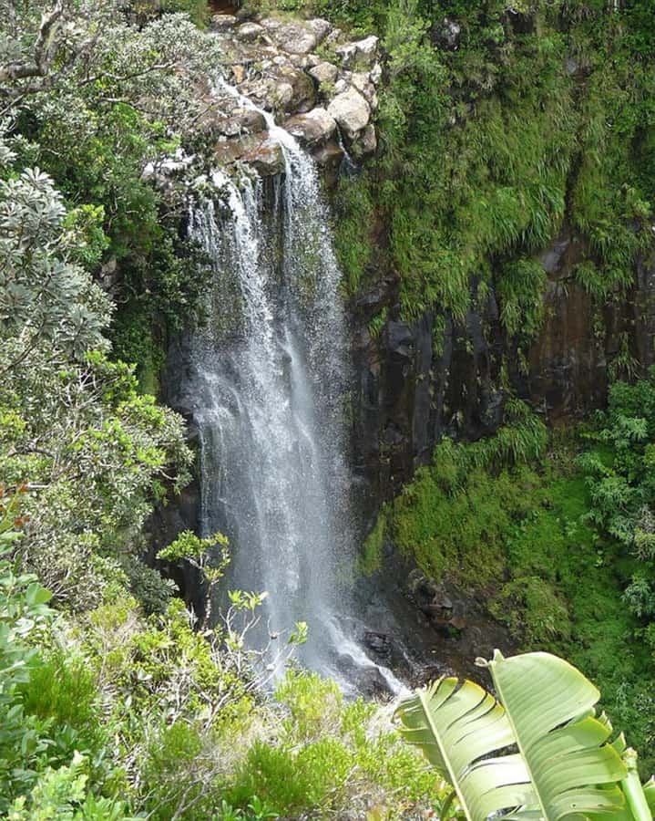 Mauritius: Private South Day Tour with Hotel Transfer - Alexandra Falls and Black River Gorges