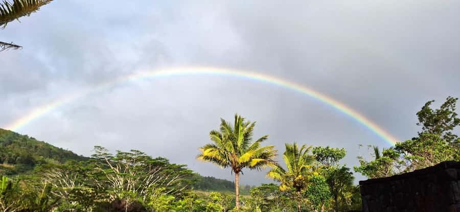 Mauritius: Private South Day Tour with Hotel Transfer - Guides, language, and the private vehicle