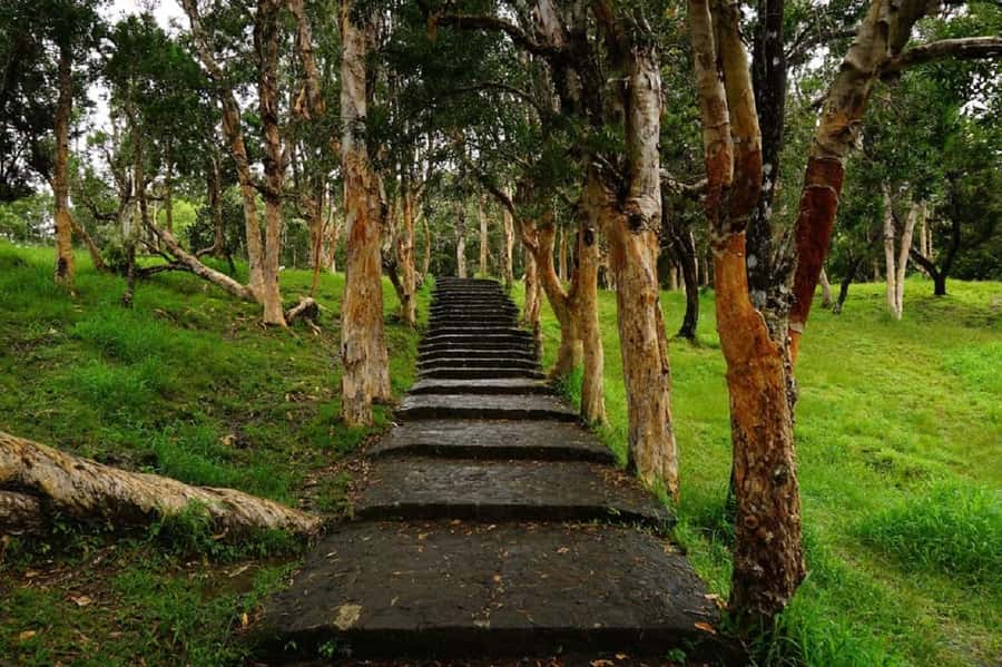 Mauritius: Private South Day Tour with Hotel Transfer - Who should book this tour?