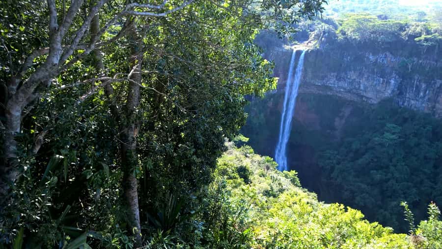 Mauritius: Private South Side and Dolphin Adventure Tour - Key points to know before booking